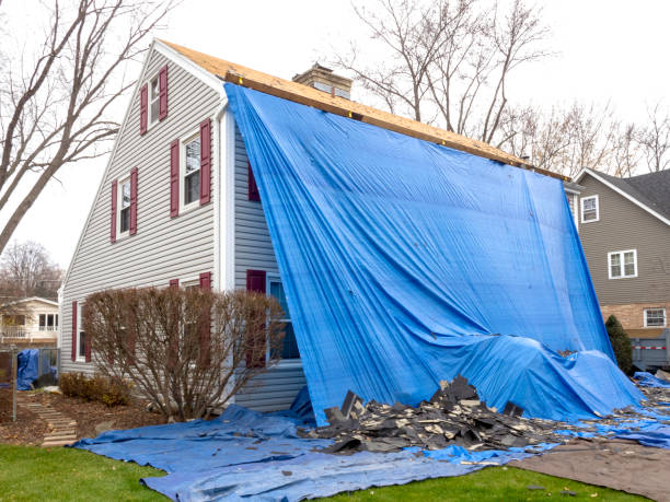 Best Yard Waste Removal  in Greenfield, MO