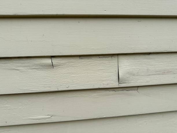 Best Shed Removal  in Greenfield, MO