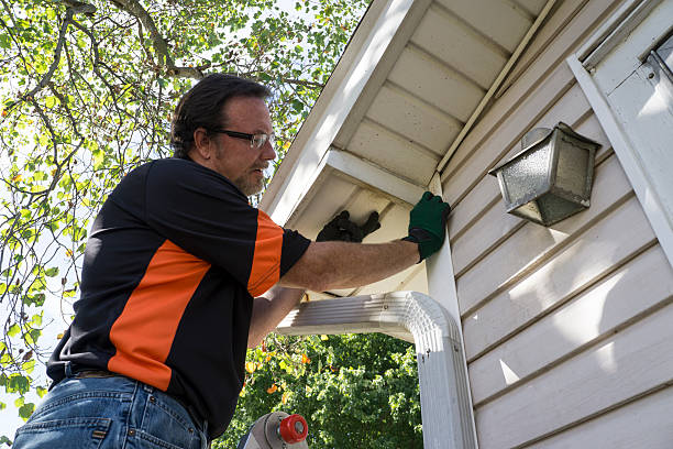 Best Shed Removal  in Greenfield, MO